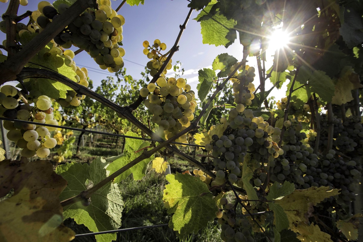 (Gefรผhlter) Sommer im September